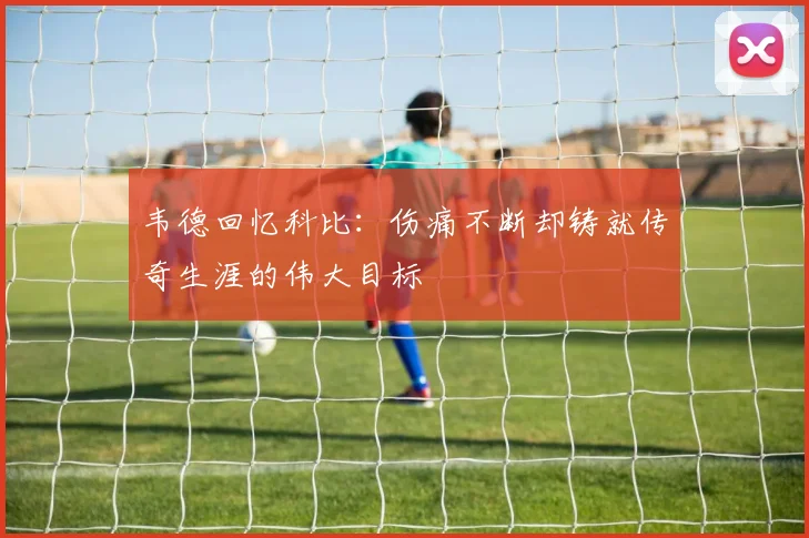 韦德回忆科比：伤痛不断却铸就传奇生涯的伟大目标